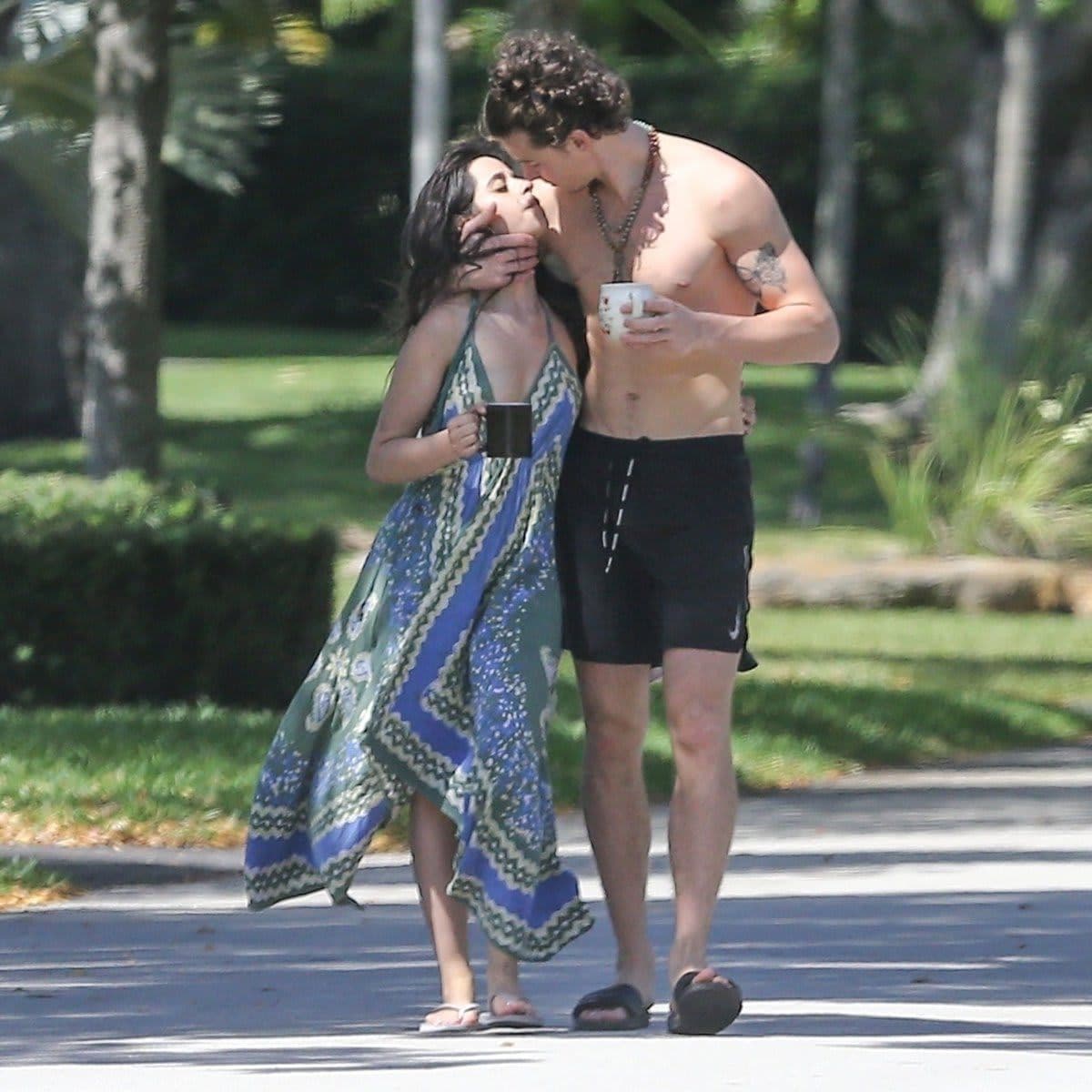 Shawn Mendes, Camila Cabello