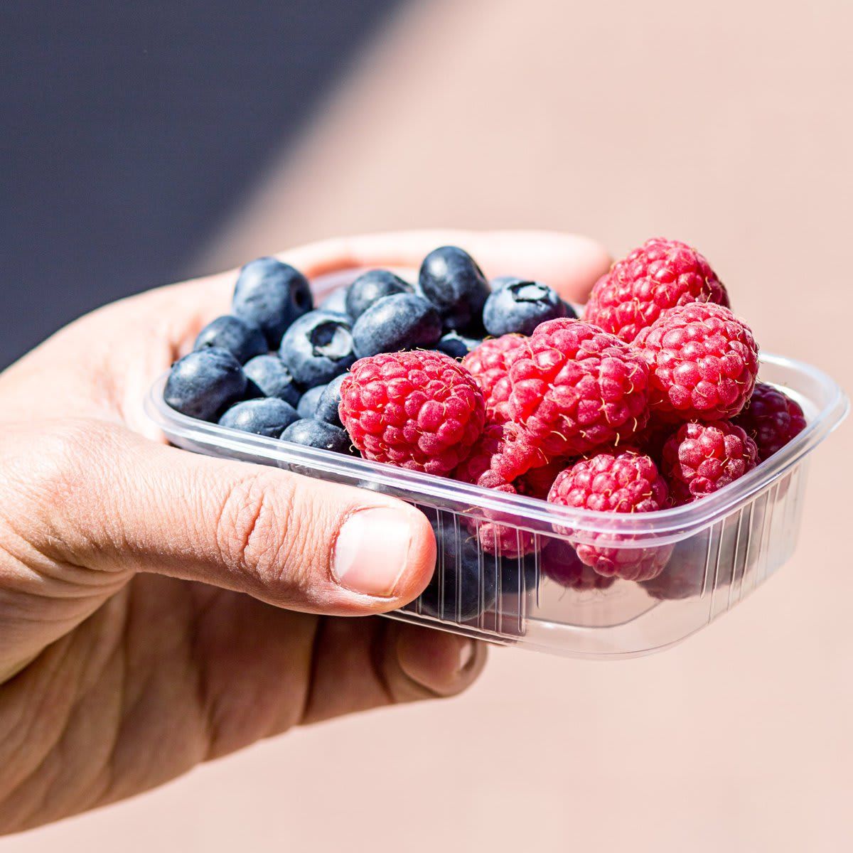 Fresh berries are packed in trays