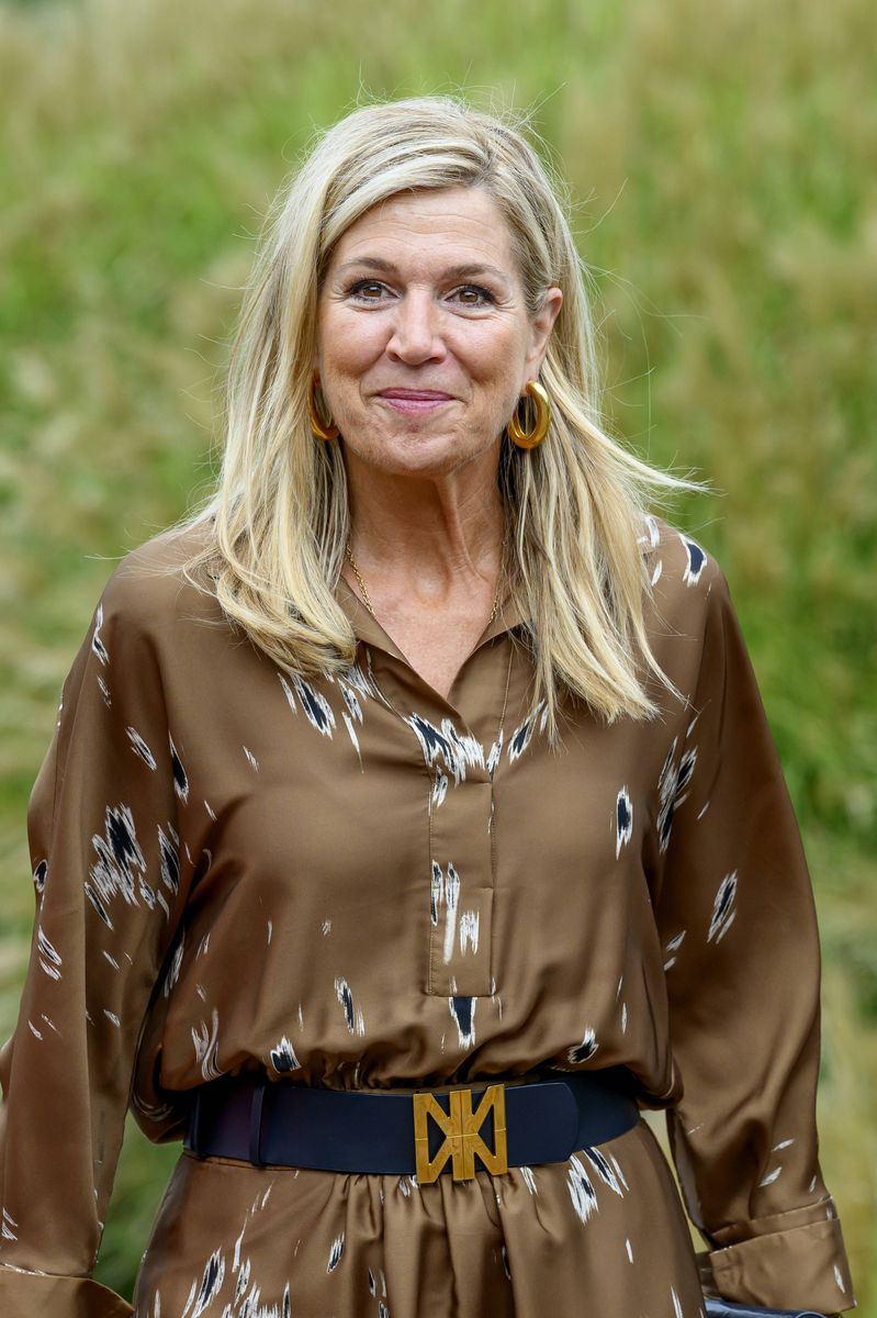 Queen Máxima paired her autumn-ready printed dress with navy pointed-toe pumps and a coordinating clutch for the daytime engagement.