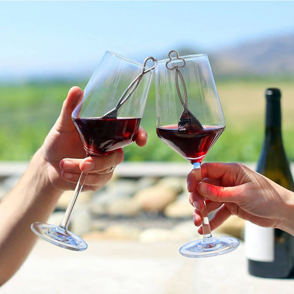 The Wand wine purifier