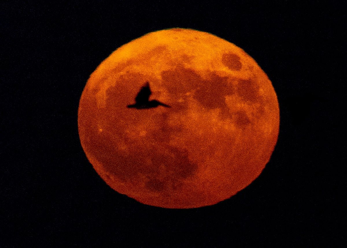 A view of the super blue moon  over Los Angeles Harbor