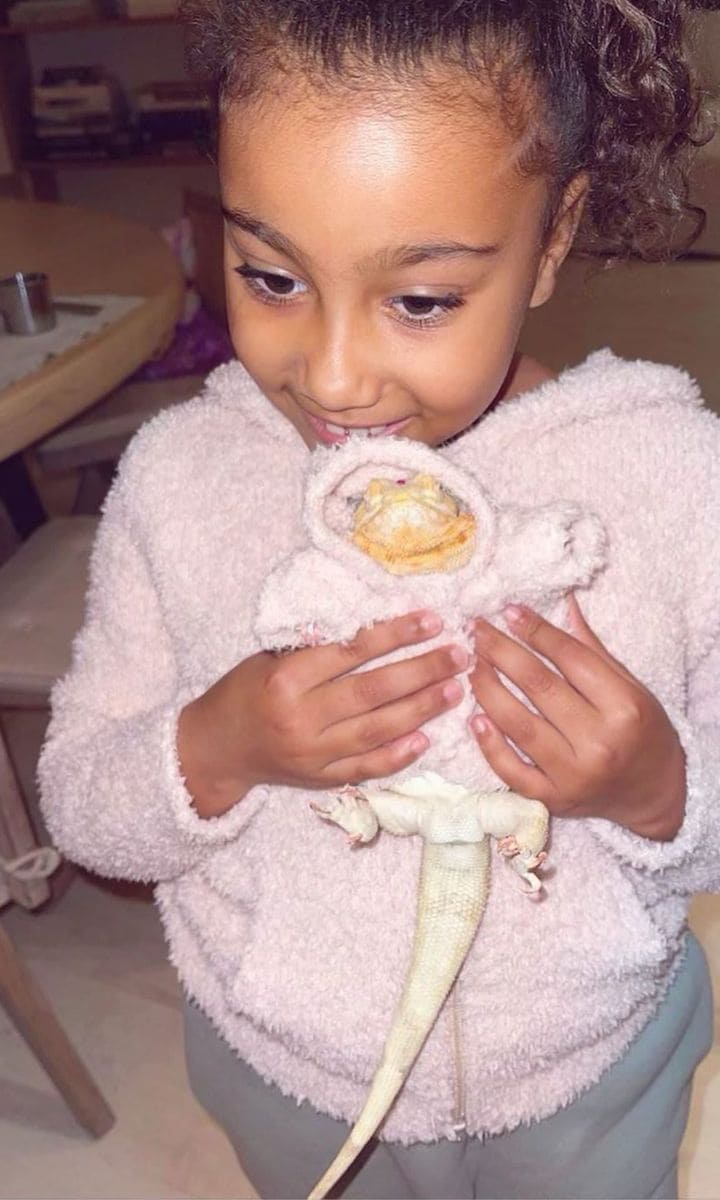 North West and Speed Kardashian