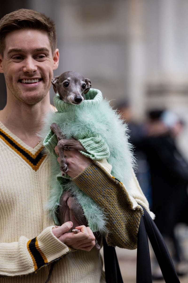 Thomas Shapiro and his puppy dog Tika wears knit jumper outside Puppets & Puppets during New York Fashion Week