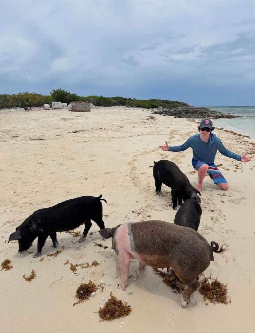 Tino shares a playful moment with some local beach pigs in the Bahamas.