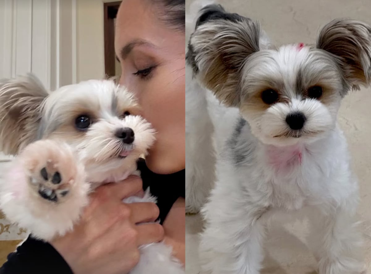 Vanessa has also shared tender moments with one of her smaller pups, showing just how deep the bond runs. 