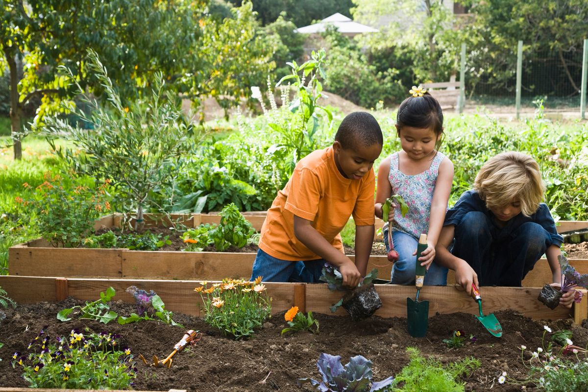 Plant a Family Garden
