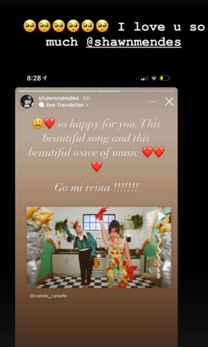 Camila Cabello Instagram story