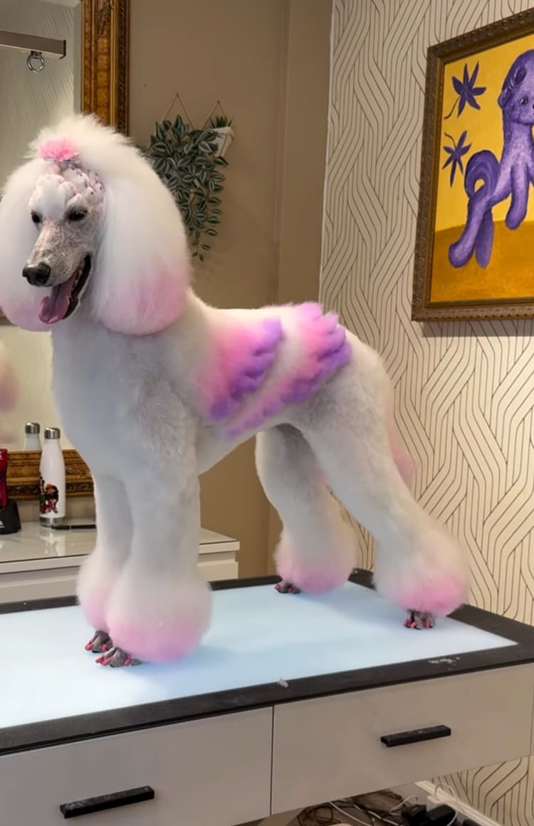 These dogs got the ultimate Halloween makeovers