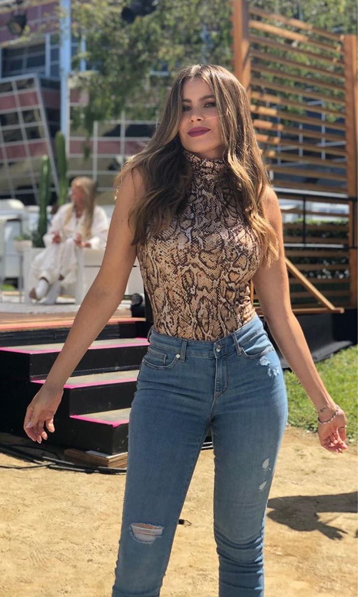 sofia vergara agt