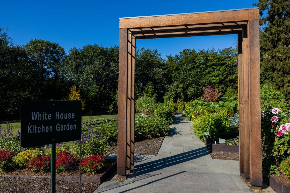 The White House Kitchen Garden