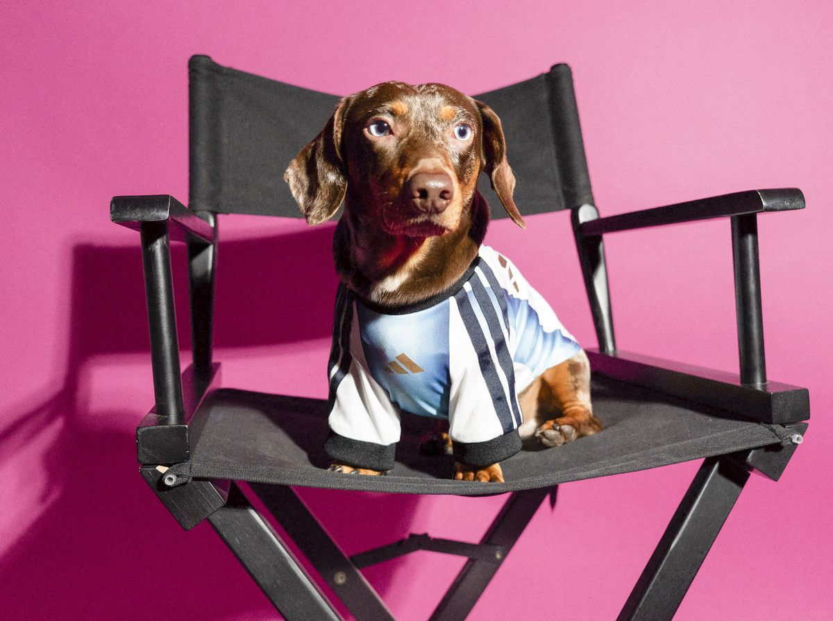 Photo © 2026 Best Image/The Grosby Group 

Adidas is giving football-loving pet owners a stylish way to include their four-legged companions in the excitement of the 2026 FIFA World Cup with the launch of its new pet jersey collection.

The collection features miniature kits inspired by four major national teams competing in the tournament: reigning champions Argentina, along with Mexico, Colombia, and Japan. Each jersey mirrors the design of the official home shirts, complete with the national federation crest and adidas logo.

Rather than simply shrinking down the human versions, the garments have been specially engineered for pets, with a tailored design that accommodates the anatomy of four-legged fans while ensuring a comfortable fit across a range of sizes. Heat-transferred detailing provides a sleek, premium finish without compromising comfort.

The adidas 2026 FIFA World Cup Pet Collection will be available starting May 1 across North America, Latin America, Japan, China, Vietnam, the Philippines, and Indonesia, just ahead of the tournaments kickoff on June 11 in the United States, which is co-hosting alongside Mexico and Canada.****

Adidas está ofreciendo a los dueños de mascotas amantes del fútbol una elegante manera de incluir a sus compañeros de cuatro patas en la emoción de la Copa Mundial de la FIFA 2026 con el lanzamiento de su nueva colección de camisetas para mascotas.

La colección presenta kits en miniatura inspirados en cuatro de las principales selecciones que competirán en el torneo: los actuales campeones, Argentina, junto con México, Colombia y Japón. Cada camiseta reproduce el diseño de los uniformes oficiales de local, completo con el escudo de la federación nacional y el logotipo de adidas.

En lugar de simplemente reducir las versiones para humanos, las prendas han sido especialmente diseñadas para mascotas, con un corte adaptado a la anatomía de los aficionados de cuatro patas, garantizando un ajuste cómodo en una amplia variedad de tallas. Los detalles aplicados mediante transferencia térmica aportan un acabado elegante y premium sin comprometer la comodidad.

La colección adidas 2026 FIFA World Cup Pet estará disponible a partir del 1 de mayo en América del Norte, América Latina, Japón, China, Vietnam, Filipinas e Indonesia, justo antes del inicio del torneo el 11 de junio en Estados Unidos, país anfitrión junto con México y Canadá.