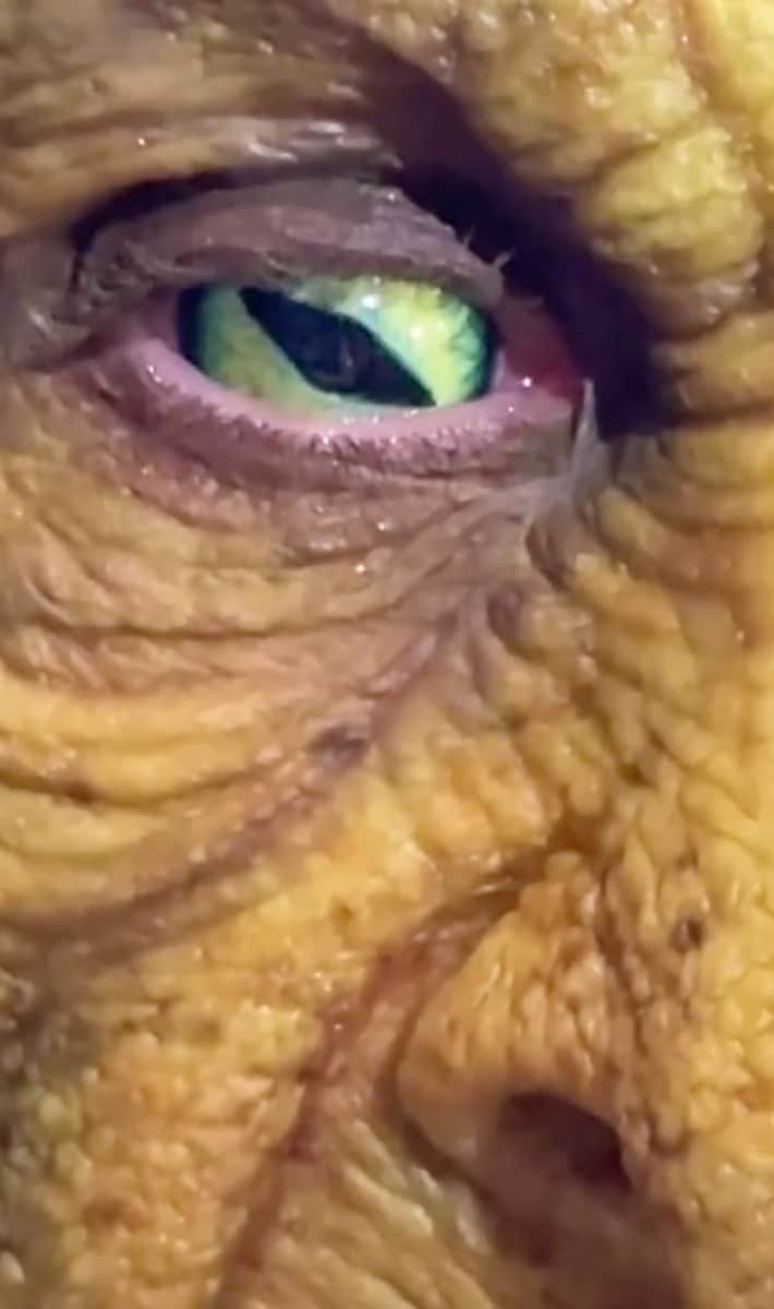 Fans have already gotten glimpses of what’s to come.