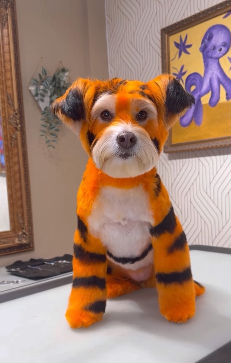 Feitosa shares every step of his creative process on social media, giving viewers a behind-the-scenes look