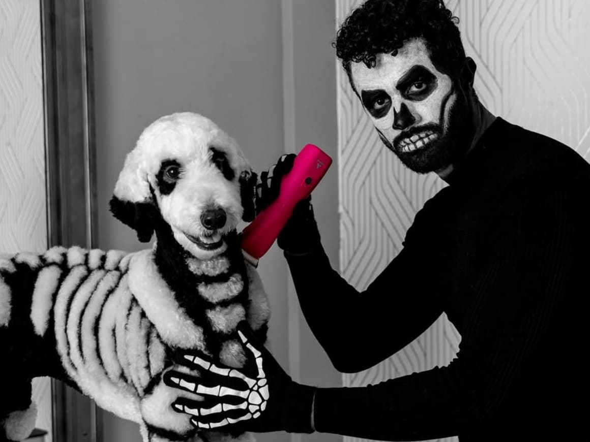 Gabriel started his pioneering dog grooming career at the age of twelve at a local shop in a small town in Brazil, discovering his passion and achieving his goals and dreams in the United States.