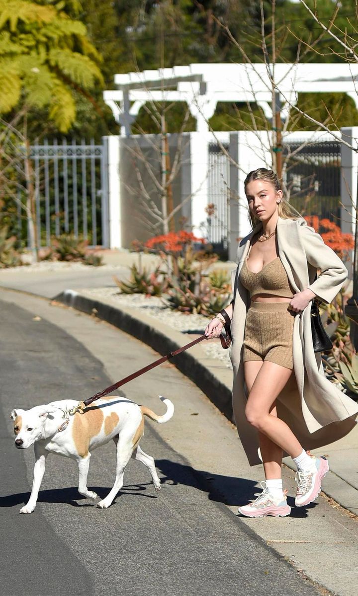 Euphoria star, Sydney Sweeney walks her dog in LA