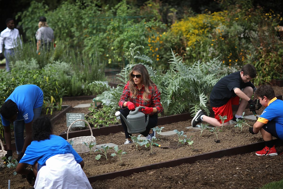 First Lady Melania Trump pictured in the White House Kitchen Garden in 2017 