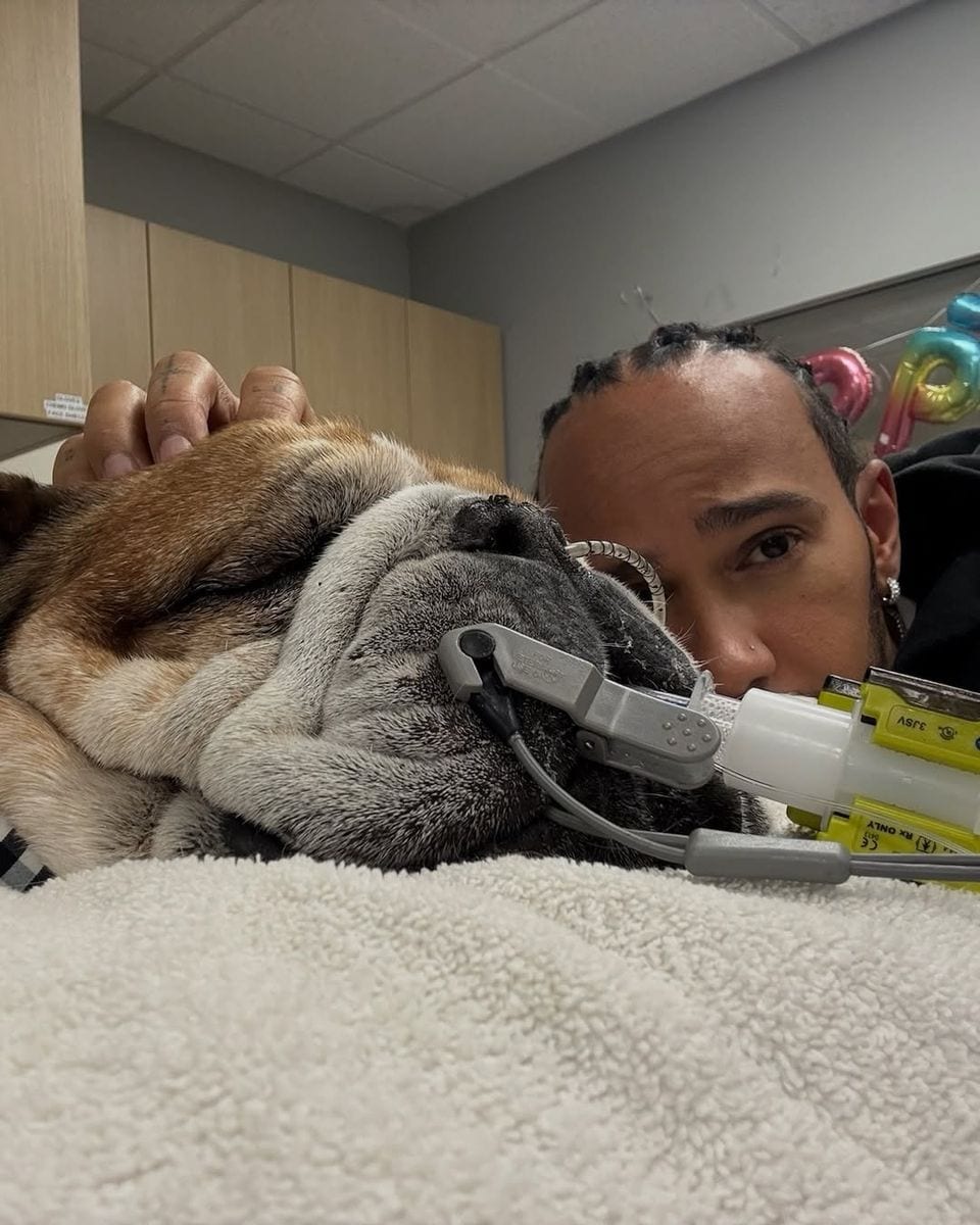 Lewis Hamilton made the heartfelt decision to pull out of a Pirelli tyre test this week to be with his beloved bulldog, Roscoe, who is currently in a coma.