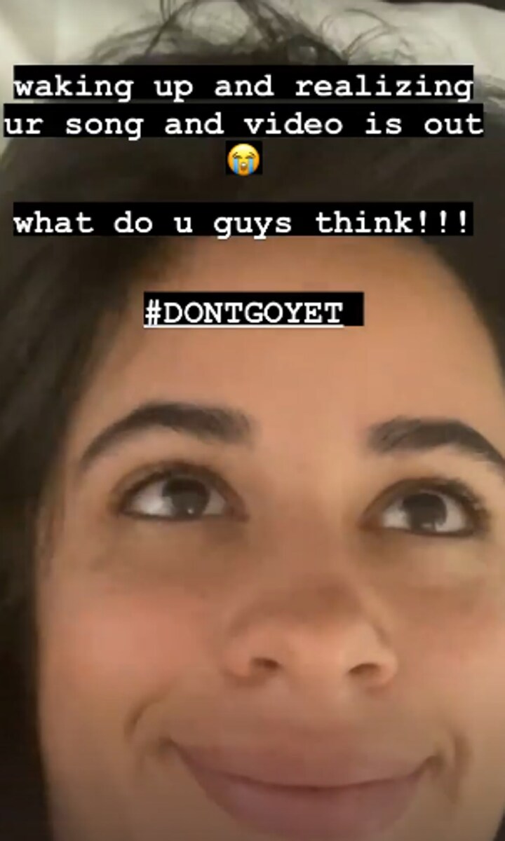 Camila Cabello Instagram story
