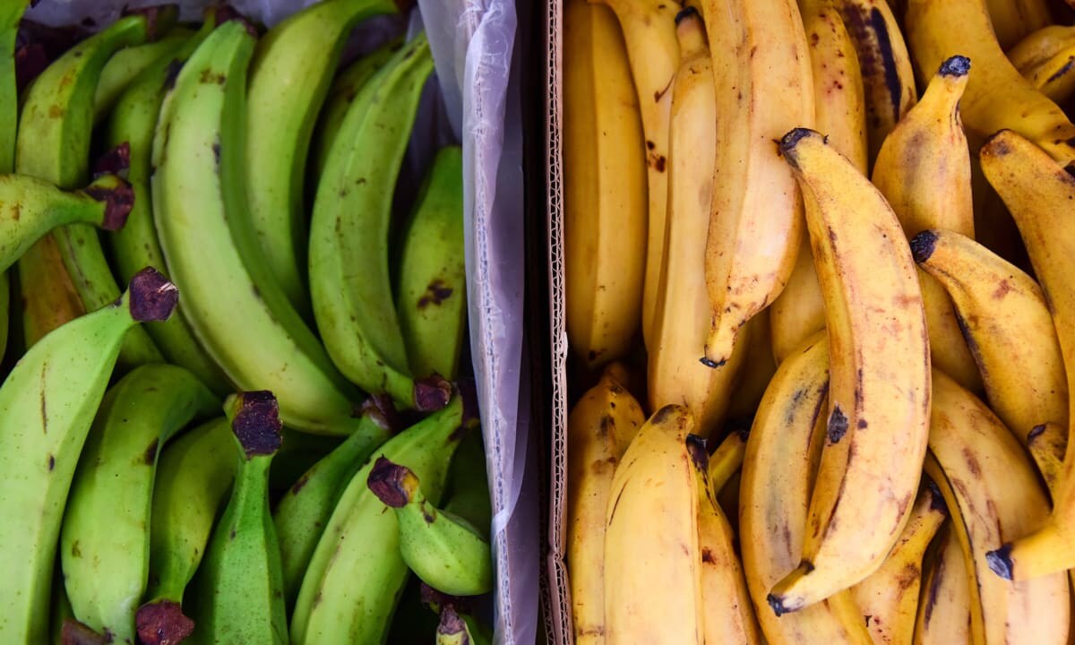 plantain