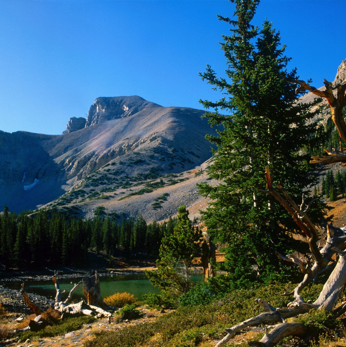 Great Basin National Park offers exceptionally dark skies and minimal light pollution.
