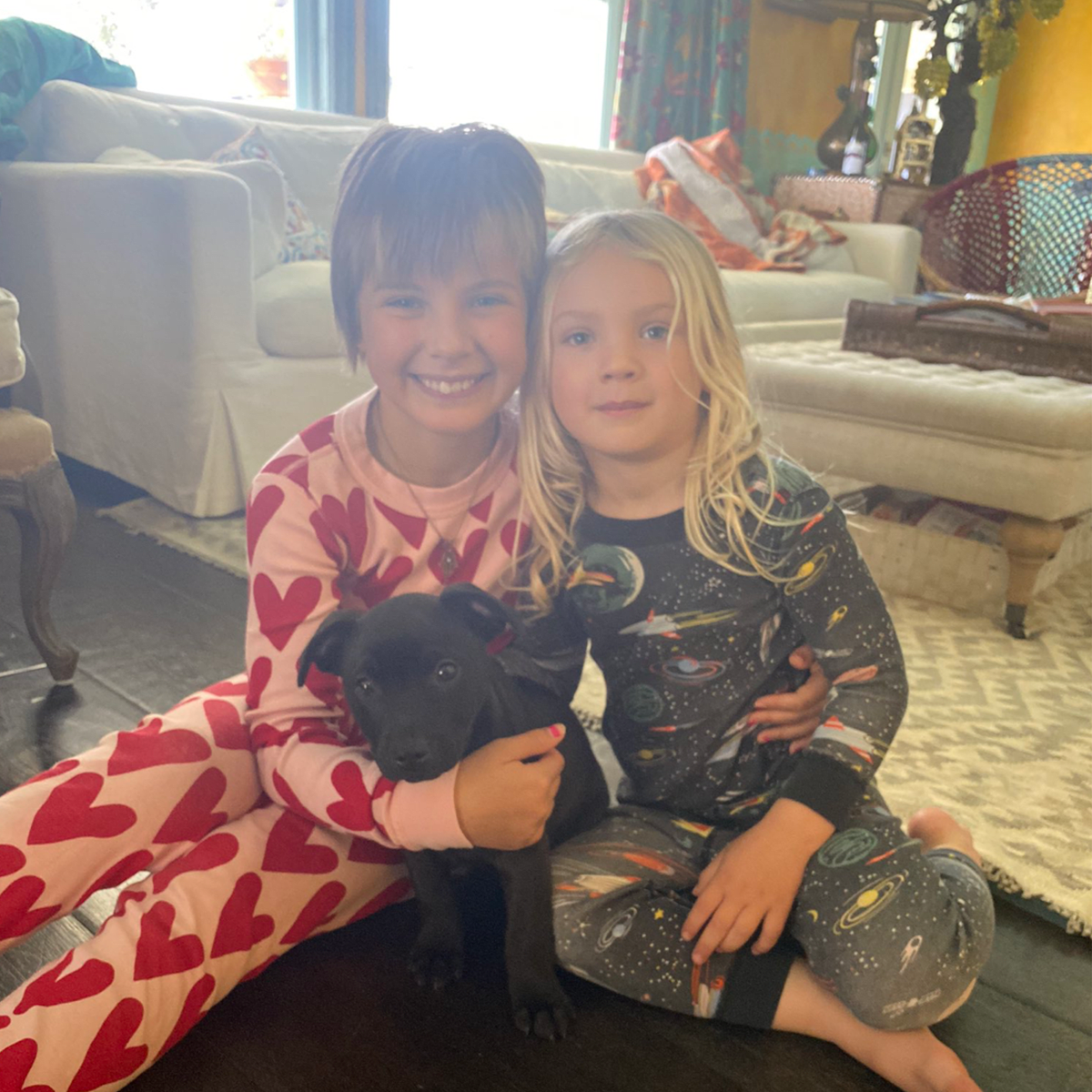 Pink's new puppy