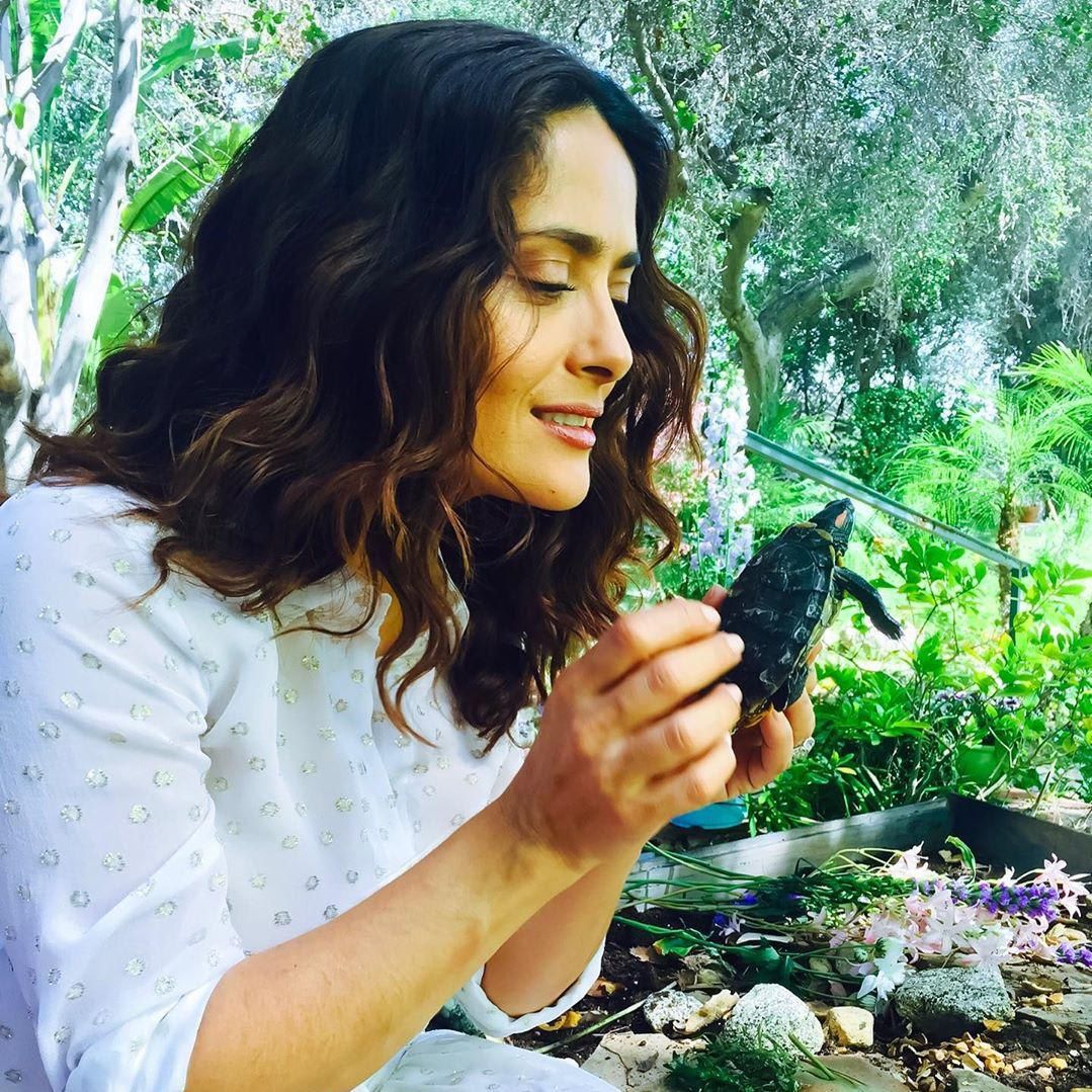 Salma Hayek animals