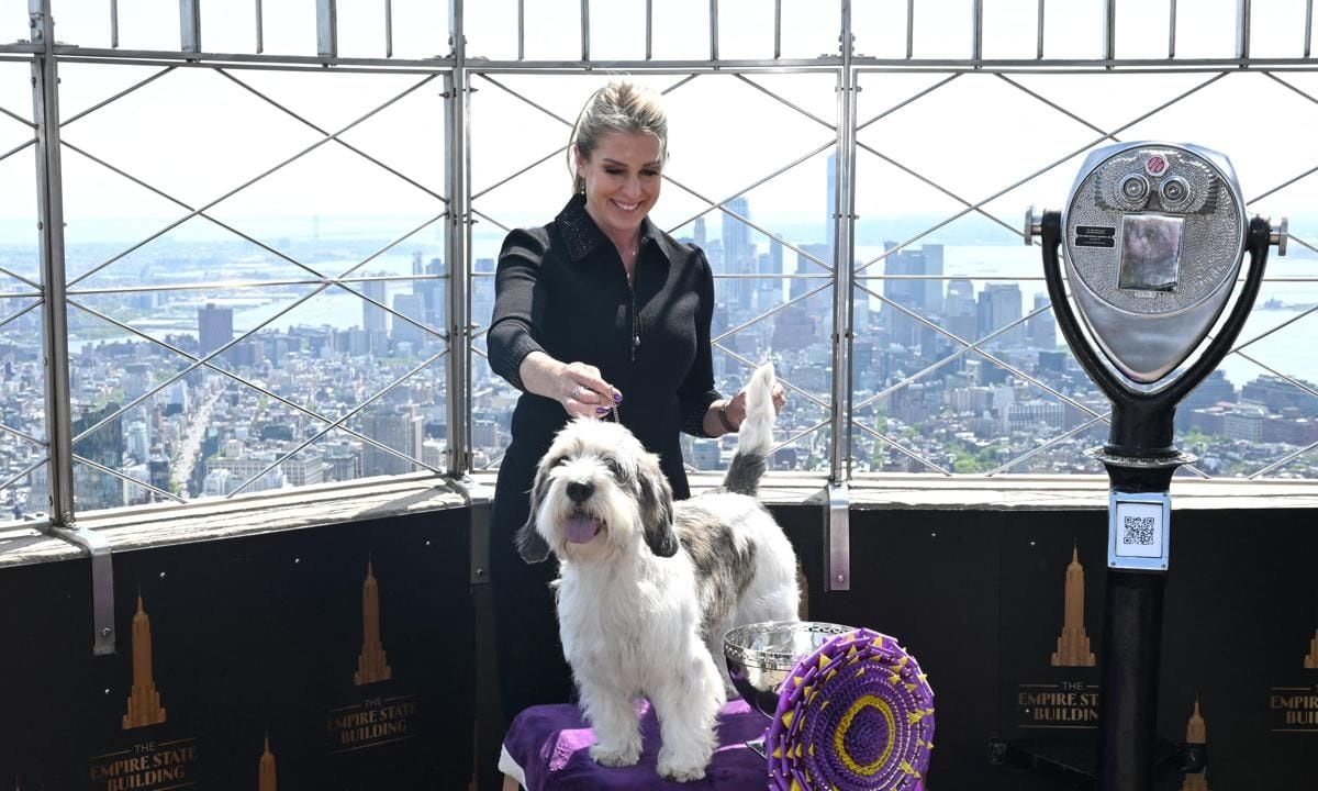 US ANIMAL DOG WESTMINSTER WINNER