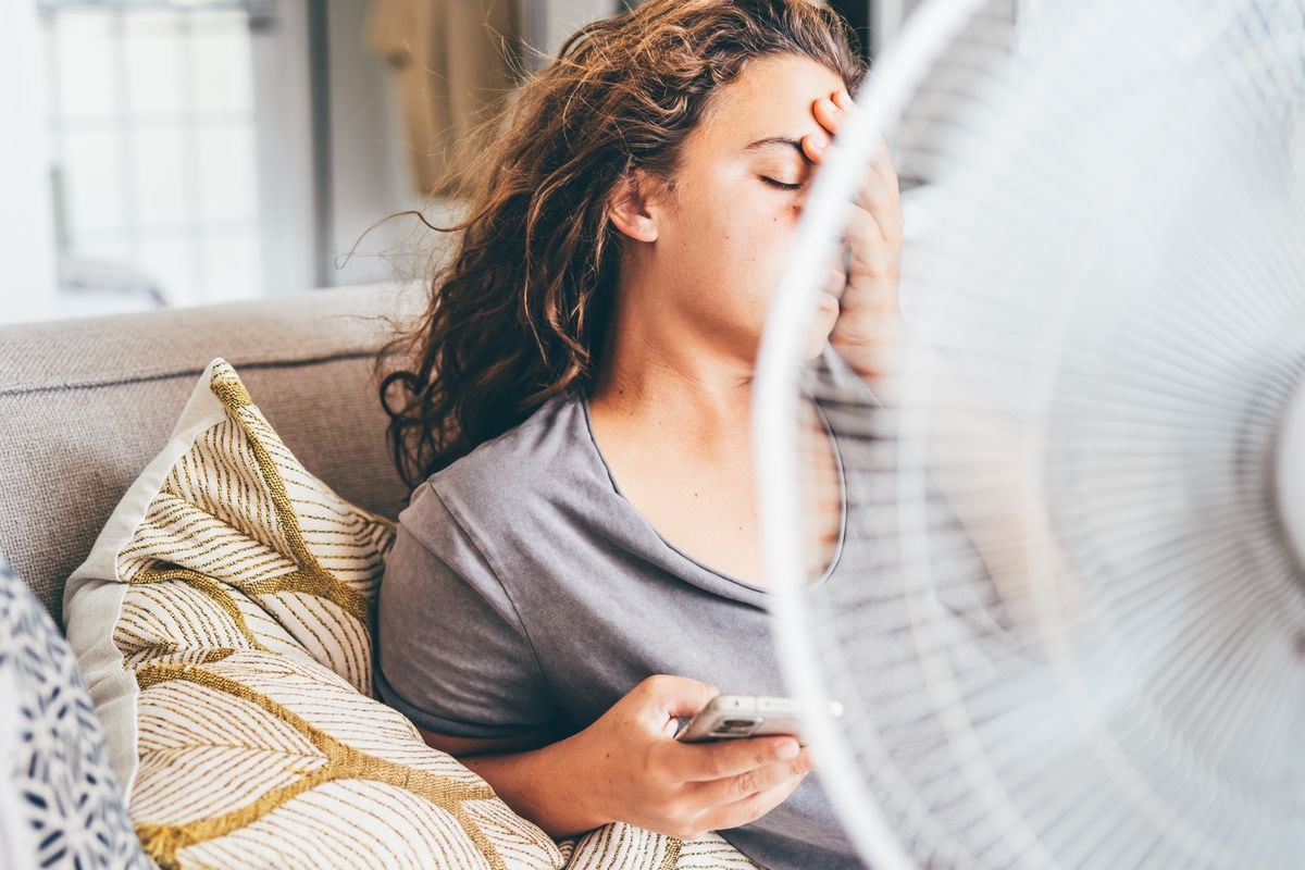 As the weather grows hotter, flies and pests become more common
