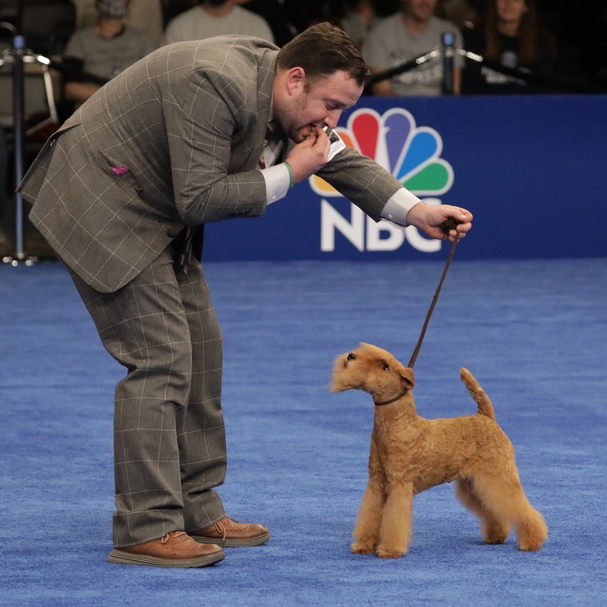 The National Dog Show Presented by Purina - Season 2021