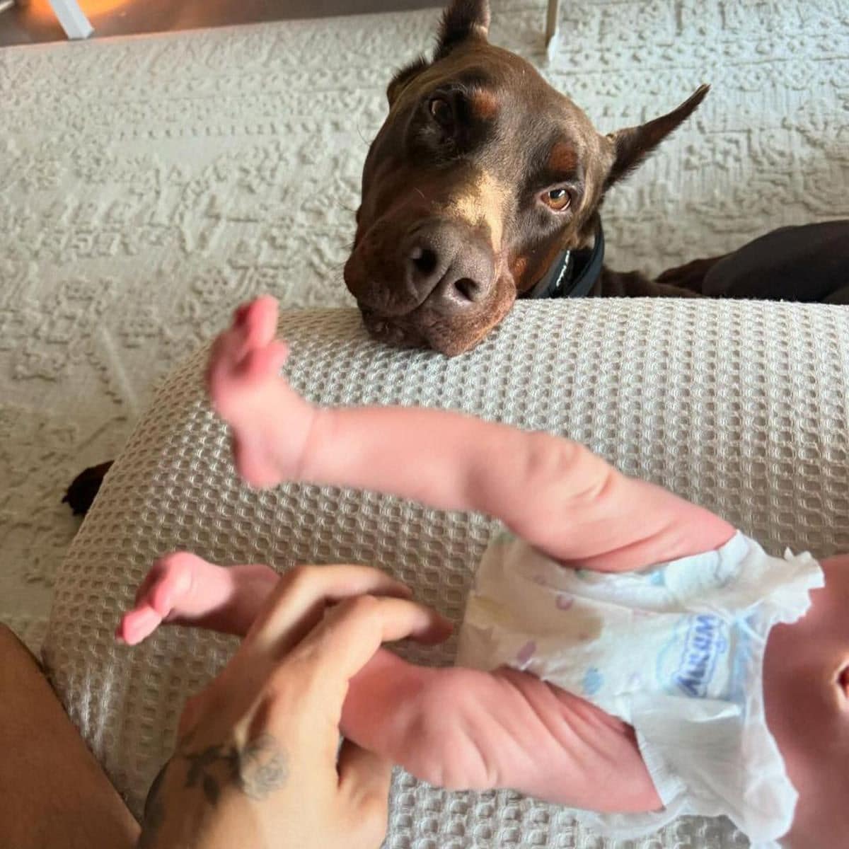 Maluma's first days as a dad
