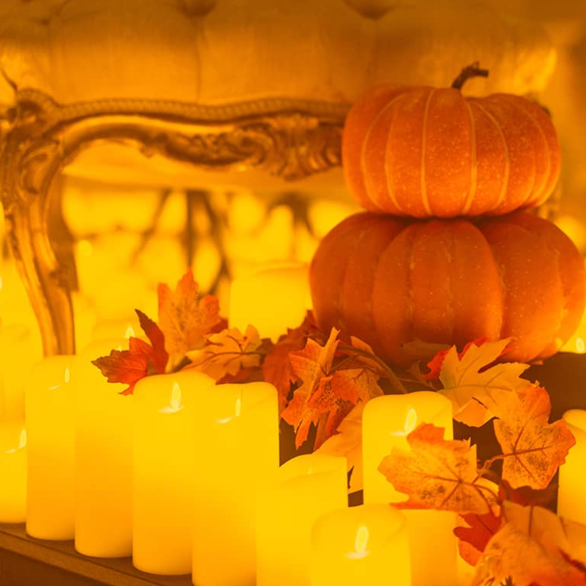 Candlelight brings a haunting musical experience to Santa Clarita, combining atmospheric live performances with the warm glow of thousands of candles.