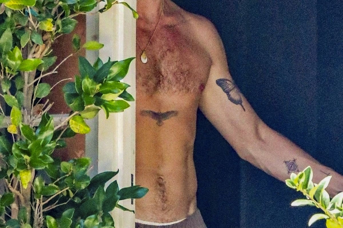  Shawn Mendes shows off his new chest tattoo and his fit physique while receiving a delivery order from Erewhon Market in Los Angeles.