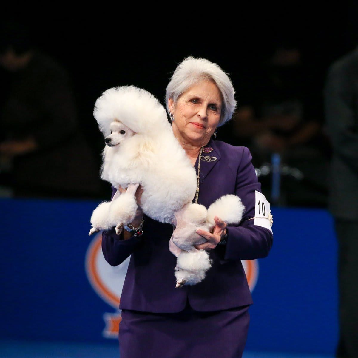 The National Dog Show Presented by Purina - Season 2021