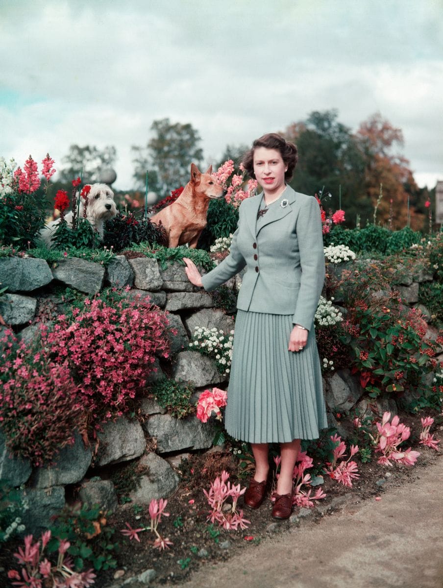 Queen Elizabeth II in the gardens of Balmoral Castle with two of her pet dogs. 