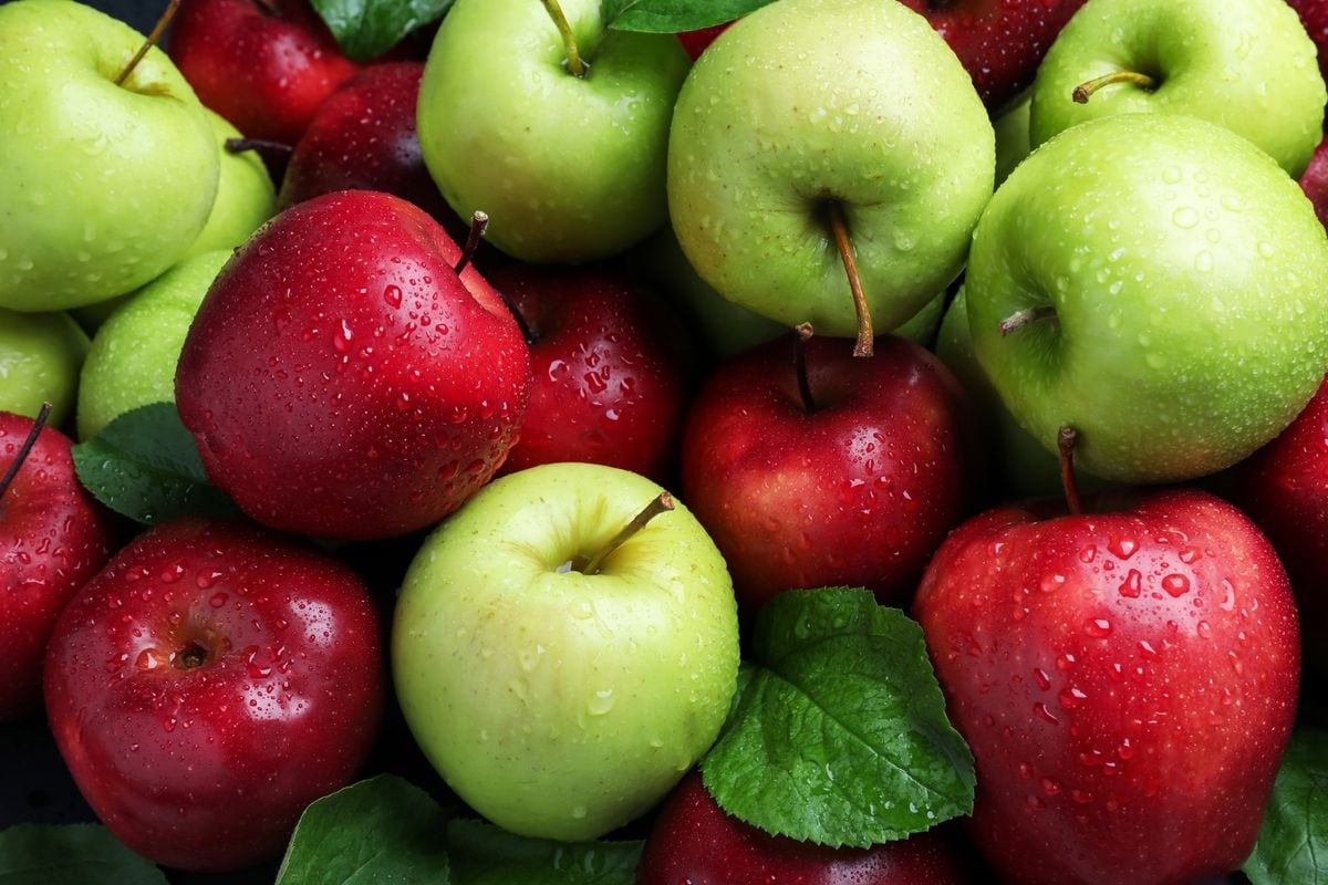 Red and green Fuji Apples in a Wooden Bowl with Leaves 
