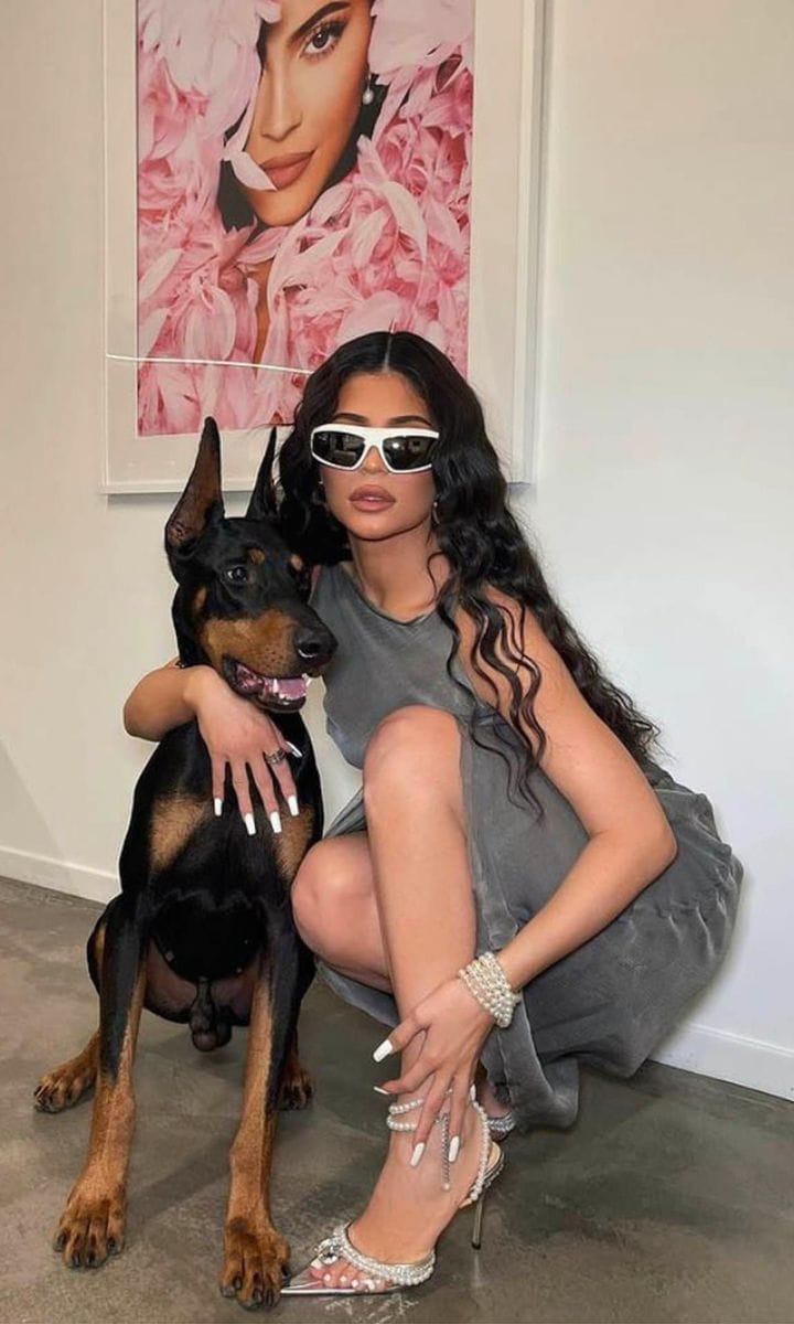 THE WHITE SUNGLASSES TREND CELEBRITIES ARE LOVING
