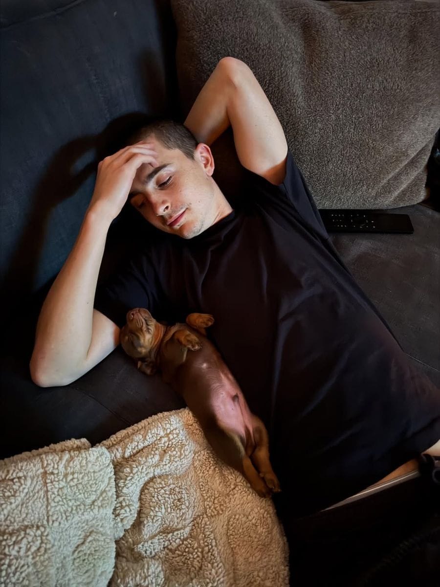 The puppy looked right at home 