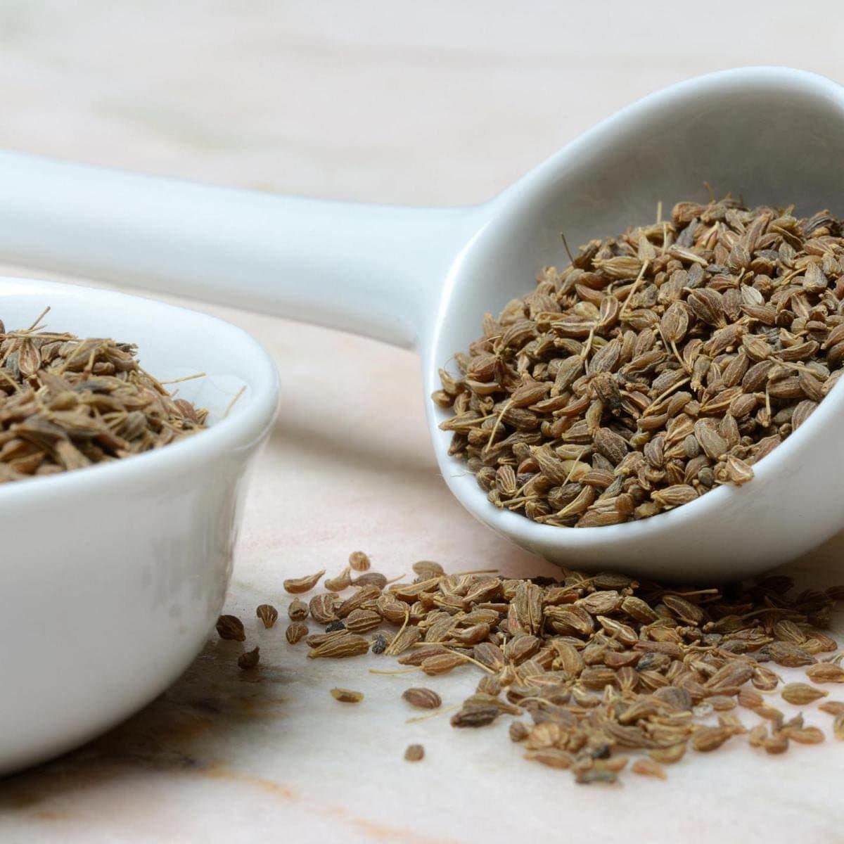 Aniseed