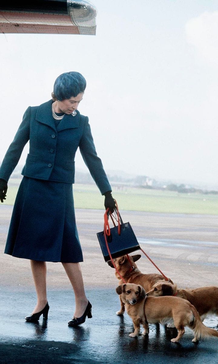 The monarch is known for her love for dogs