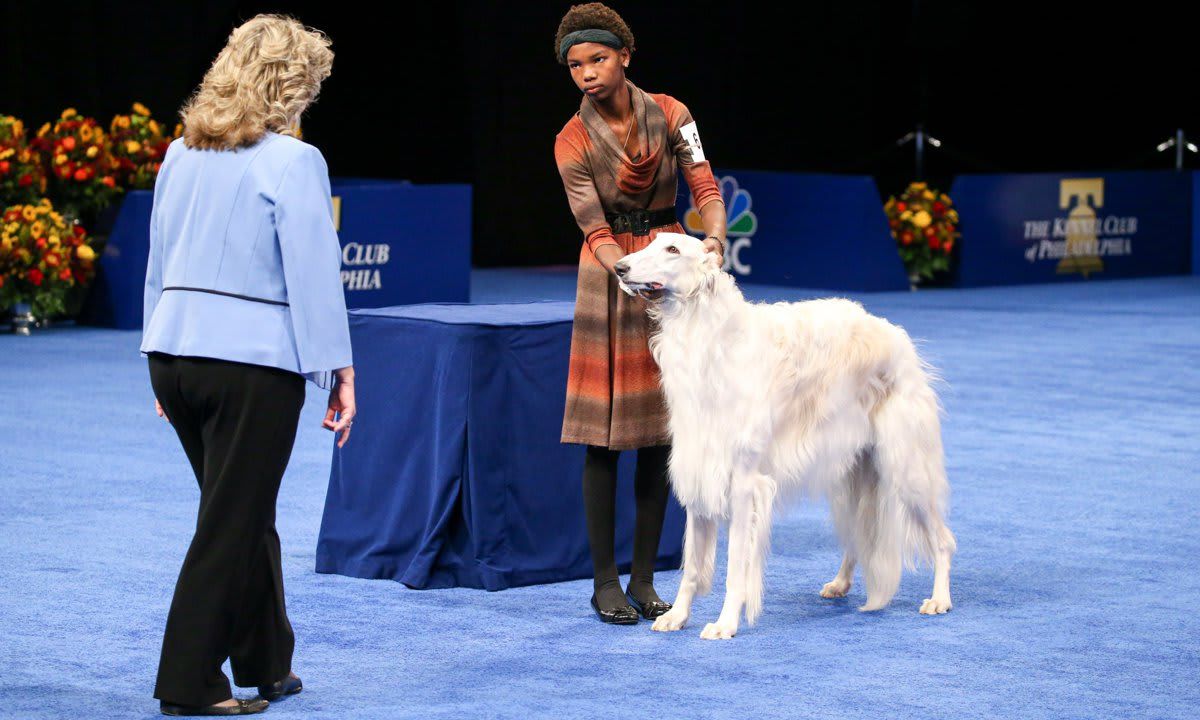The National Dog Show Presented by Purina - Season 2021