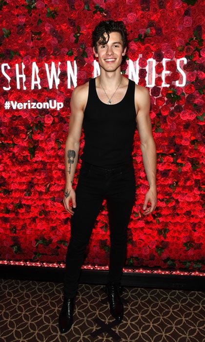 Shawn Mendes celebrity crush