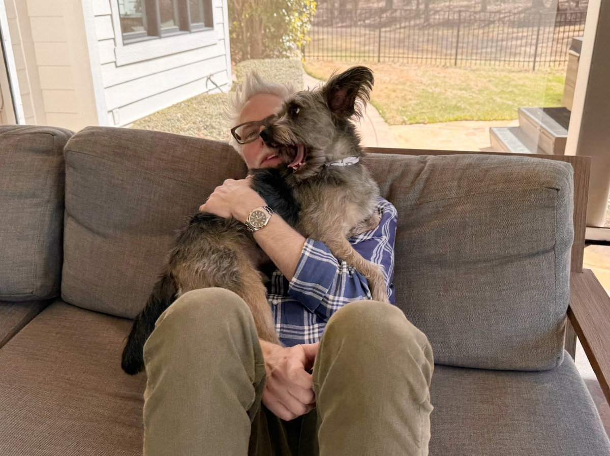 Ozu, James Gunn's dog, who inspired him to include Krypto in the new 'Superman' movie