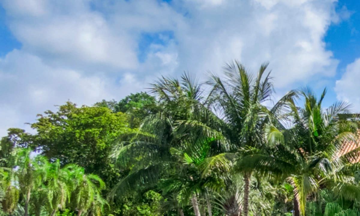 Joe Jonas and Sophia Turner's new Miami mansion