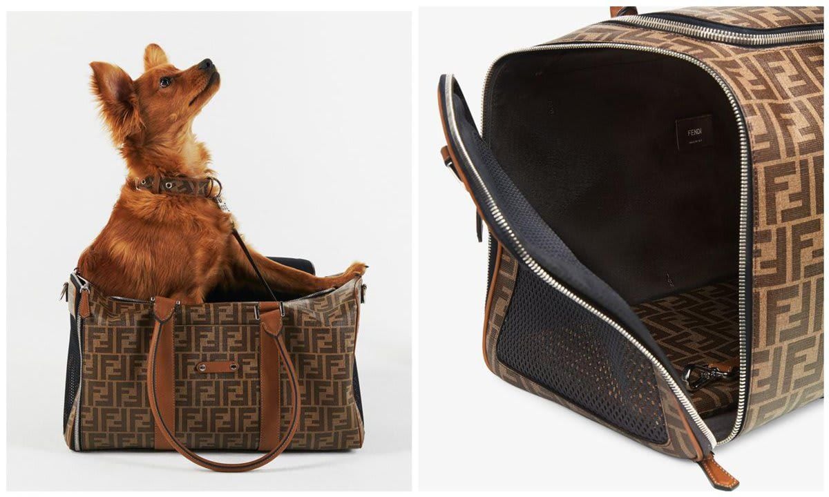 Fendi s new pet travel collection is a must have for your stylish pup