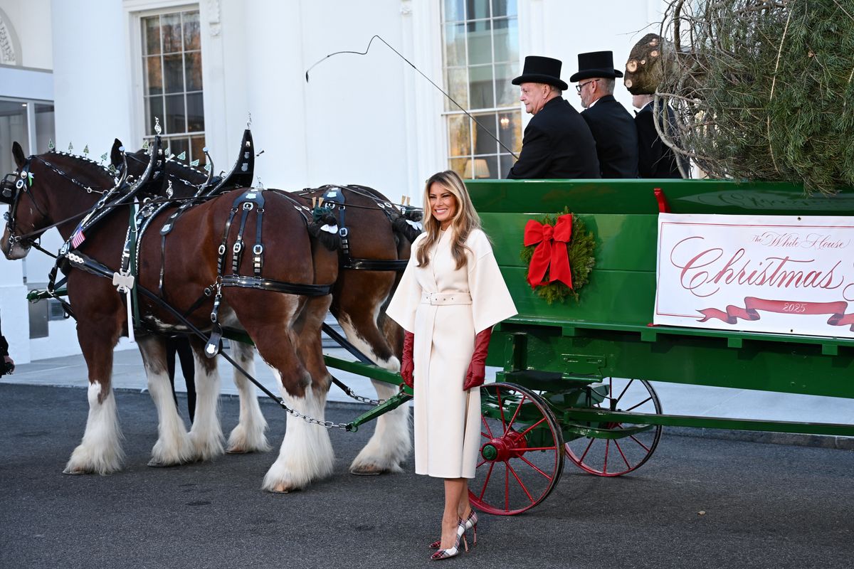 Melania posed with the large Christmas tree before it was brought down from its carriage