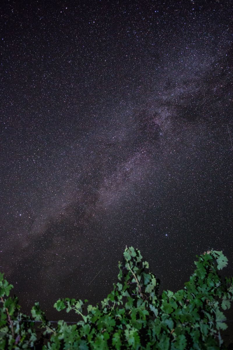2016, near Paso Robles, California