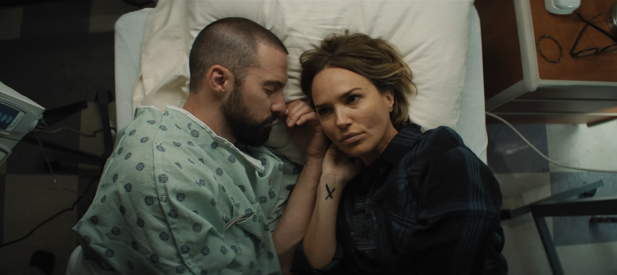 Ventimiglia as Tim and Arielle Kebbel as Hilary Timmons