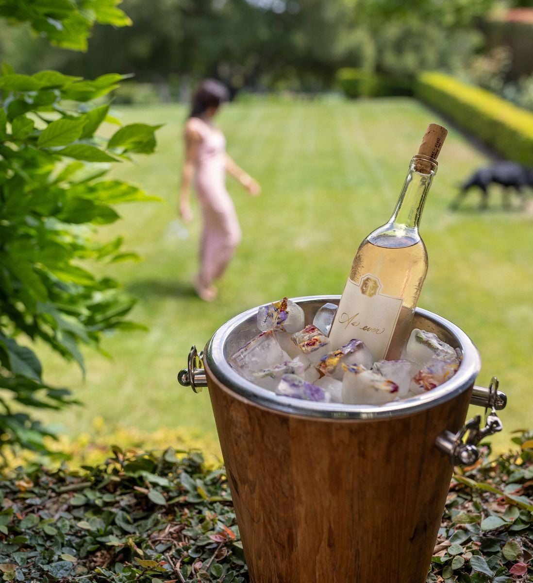 Meghan Markle launches her wine on Princess Diana's birthday