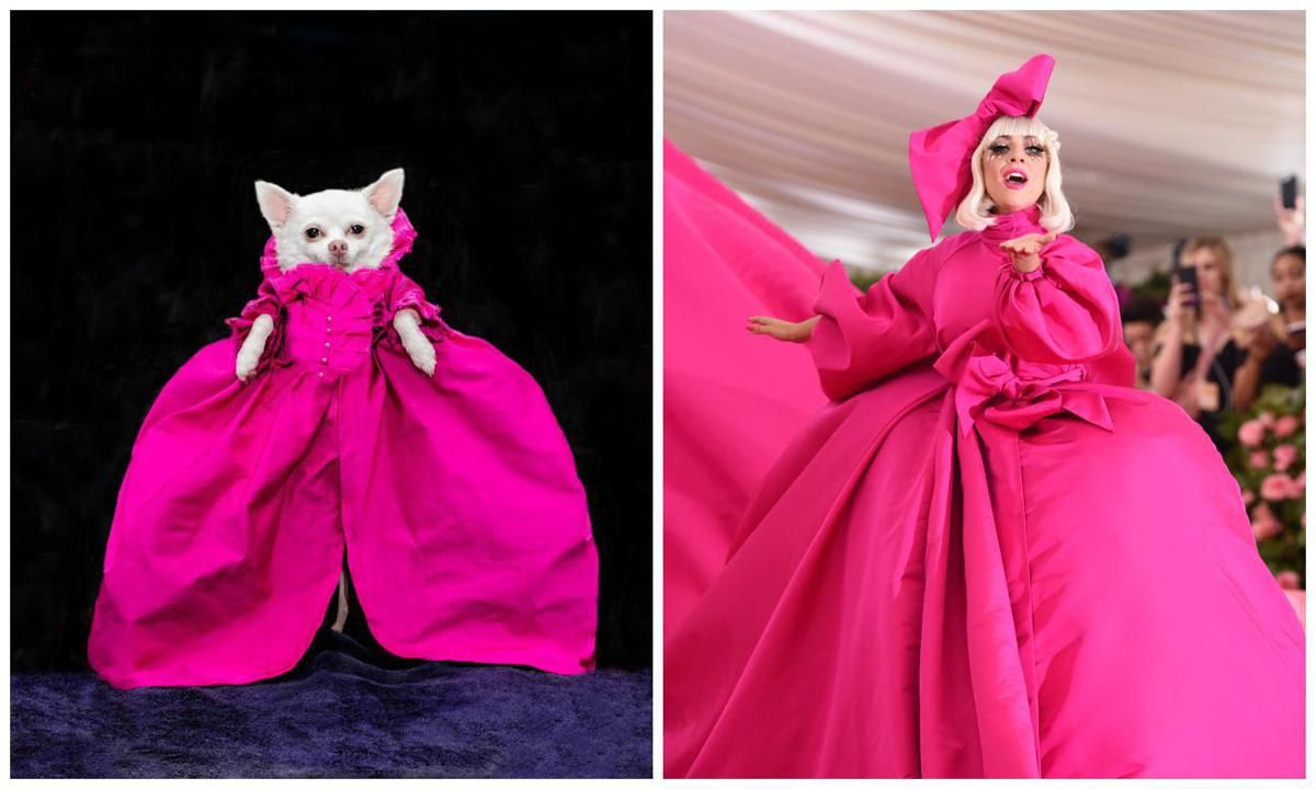 Inspired by Lady Gaga's 2019 Met Gala Style