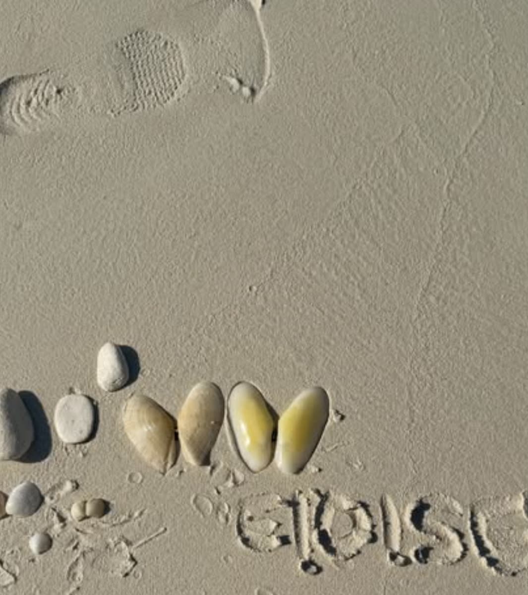 Sofia shared a look at some of the shells she and her daughter collected